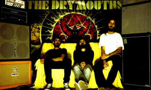 The Dry Mouths estrena nuevo videoclip